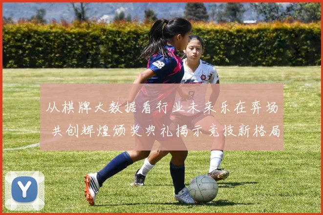 从棋牌大数据看行业未来乐在弈场 共创辉煌颁奖典礼揭示竞技新格局